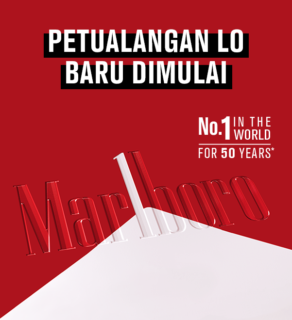 PETUALANGAN LO BARU DIMULAI